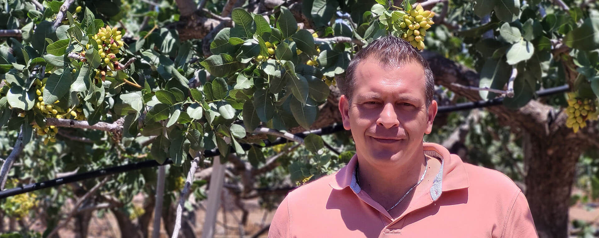 A smiling man in front of a pistachio tree of a farm.