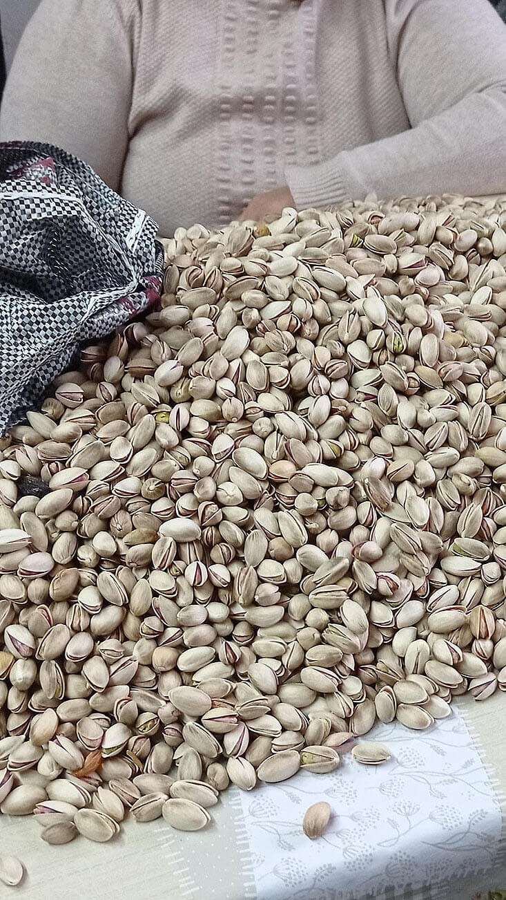 A table full of pistachios and a lady in the background.